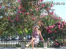 [P11] Un splendid leandru dintr-un parc la fel de frumos din Kerkyra » foto by ileanaxperta*
 - 
<span class="allrVoted glyphicon glyphicon-heart hidden" id="av79339"></span>
<a class="m-l-10 hidden" id="sv79339" onclick="voting_Foto_DelVot(,79339,10697)" role="button">șterge vot <span class="glyphicon glyphicon-remove"></span></a>
<a id="v979339" class=" c-red"  onclick="voting_Foto_SetVot(79339)" role="button"><span class="glyphicon glyphicon-heart-empty"></span> <b>LIKE</b> = Votează poza</a> <img class="hidden"  id="f79339W9" src="/imagini/loader.gif" border="0" /><span class="AjErrMes hidden" id="e79339ErM"></span>