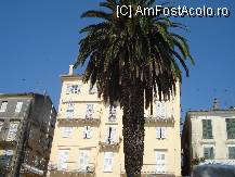 [P15] In centrul pietonal un palmier bine crescut 'troneaza' nestingherit de caldura de afara, in Kerkyra » foto by ileanaxperta*
 - 
<span class="allrVoted glyphicon glyphicon-heart hidden" id="av79343"></span>
<a class="m-l-10 hidden" id="sv79343" onclick="voting_Foto_DelVot(,79343,10697)" role="button">șterge vot <span class="glyphicon glyphicon-remove"></span></a>
<a id="v979343" class=" c-red"  onclick="voting_Foto_SetVot(79343)" role="button"><span class="glyphicon glyphicon-heart-empty"></span> <b>LIKE</b> = Votează poza</a> <img class="hidden"  id="f79343W9" src="/imagini/loader.gif" border="0" /><span class="AjErrMes hidden" id="e79343ErM"></span>