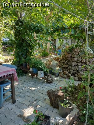 [P12] pe drumul catre Marmaris- cafeluta la umbra » foto by michaela_1961
 - 
<span class="allrVoted glyphicon glyphicon-heart hidden" id="av1313074"></span>
<a class="m-l-10 hidden" id="sv1313074" onclick="voting_Foto_DelVot(,1313074,10714)" role="button">șterge vot <span class="glyphicon glyphicon-remove"></span></a>
<a id="v91313074" class=" c-red"  onclick="voting_Foto_SetVot(1313074)" role="button"><span class="glyphicon glyphicon-heart-empty"></span> <b>LIKE</b> = Votează poza</a> <img class="hidden"  id="f1313074W9" src="/imagini/loader.gif" border="0" /><span class="AjErrMes hidden" id="e1313074ErM"></span>