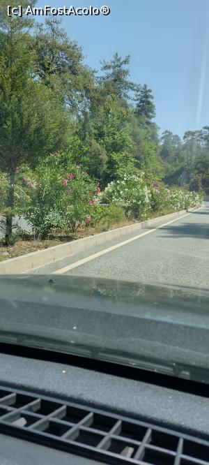 [P21] pe drum catre Bodrum » foto by michaela_1961
 - 
<span class="allrVoted glyphicon glyphicon-heart hidden" id="av1313148"></span>
<a class="m-l-10 hidden" id="sv1313148" onclick="voting_Foto_DelVot(,1313148,10714)" role="button">șterge vot <span class="glyphicon glyphicon-remove"></span></a>
<a id="v91313148" class=" c-red"  onclick="voting_Foto_SetVot(1313148)" role="button"><span class="glyphicon glyphicon-heart-empty"></span> <b>LIKE</b> = Votează poza</a> <img class="hidden"  id="f1313148W9" src="/imagini/loader.gif" border="0" /><span class="AjErrMes hidden" id="e1313148ErM"></span>