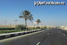 [P45] Drumul spre Cairo » foto by vera77
 - 
<span class="allrVoted glyphicon glyphicon-heart hidden" id="av389068"></span>
<a class="m-l-10 hidden" id="sv389068" onclick="voting_Foto_DelVot(,389068,10719)" role="button">șterge vot <span class="glyphicon glyphicon-remove"></span></a>
<a id="v9389068" class=" c-red"  onclick="voting_Foto_SetVot(389068)" role="button"><span class="glyphicon glyphicon-heart-empty"></span> <b>LIKE</b> = Votează poza</a> <img class="hidden"  id="f389068W9" src="/imagini/loader.gif" border="0" /><span class="AjErrMes hidden" id="e389068ErM"></span>