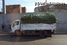 [P51] Camion cu banane » foto by vera77
 - 
<span class="allrVoted glyphicon glyphicon-heart hidden" id="av389077"></span>
<a class="m-l-10 hidden" id="sv389077" onclick="voting_Foto_DelVot(,389077,10719)" role="button">șterge vot <span class="glyphicon glyphicon-remove"></span></a>
<a id="v9389077" class=" c-red"  onclick="voting_Foto_SetVot(389077)" role="button"><span class="glyphicon glyphicon-heart-empty"></span> <b>LIKE</b> = Votează poza</a> <img class="hidden"  id="f389077W9" src="/imagini/loader.gif" border="0" /><span class="AjErrMes hidden" id="e389077ErM"></span>