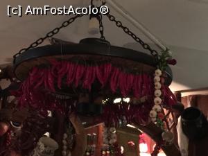 [P04] Lampadar cu ardei iute si ustoroi » foto by Dan&Ema
 - 
<span class="allrVoted glyphicon glyphicon-heart hidden" id="av804108"></span>
<a class="m-l-10 hidden" id="sv804108" onclick="voting_Foto_DelVot(,804108,10730)" role="button">șterge vot <span class="glyphicon glyphicon-remove"></span></a>
<a id="v9804108" class=" c-red"  onclick="voting_Foto_SetVot(804108)" role="button"><span class="glyphicon glyphicon-heart-empty"></span> <b>LIKE</b> = Votează poza</a> <img class="hidden"  id="f804108W9" src="/imagini/loader.gif" border="0" /><span class="AjErrMes hidden" id="e804108ErM"></span>