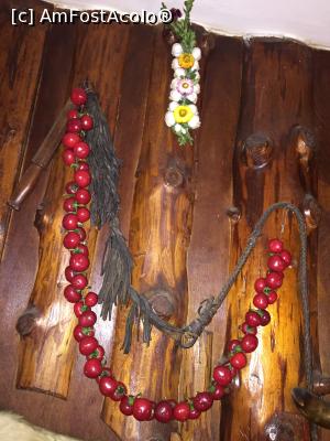 [P09] Funia de rosii » foto by Dan&Ema
 - 
<span class="allrVoted glyphicon glyphicon-heart hidden" id="av804116"></span>
<a class="m-l-10 hidden" id="sv804116" onclick="voting_Foto_DelVot(,804116,10730)" role="button">șterge vot <span class="glyphicon glyphicon-remove"></span></a>
<a id="v9804116" class=" c-red"  onclick="voting_Foto_SetVot(804116)" role="button"><span class="glyphicon glyphicon-heart-empty"></span> <b>LIKE</b> = Votează poza</a> <img class="hidden"  id="f804116W9" src="/imagini/loader.gif" border="0" /><span class="AjErrMes hidden" id="e804116ErM"></span>