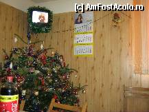 [P08] Bradul din sala de mese » foto by romanitzaa
 - 
<span class="allrVoted glyphicon glyphicon-heart hidden" id="av284947"></span>
<a class="m-l-10 hidden" id="sv284947" onclick="voting_Foto_DelVot(,284947,10760)" role="button">șterge vot <span class="glyphicon glyphicon-remove"></span></a>
<a id="v9284947" class=" c-red"  onclick="voting_Foto_SetVot(284947)" role="button"><span class="glyphicon glyphicon-heart-empty"></span> <b>LIKE</b> = Votează poza</a> <img class="hidden"  id="f284947W9" src="/imagini/loader.gif" border="0" /><span class="AjErrMes hidden" id="e284947ErM"></span>