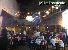 [P27] Un cactus...in loc de brad!Dragut! » foto by eduardradupaul*
 - 
<span class="allrVoted glyphicon glyphicon-heart hidden" id="av285651"></span>
<a class="m-l-10 hidden" id="sv285651" onclick="voting_Foto_DelVot(,285651,10779)" role="button">șterge vot <span class="glyphicon glyphicon-remove"></span></a>
<a id="v9285651" class=" c-red"  onclick="voting_Foto_SetVot(285651)" role="button"><span class="glyphicon glyphicon-heart-empty"></span> <b>LIKE</b> = Votează poza</a> <img class="hidden"  id="f285651W9" src="/imagini/loader.gif" border="0" /><span class="AjErrMes hidden" id="e285651ErM"></span>