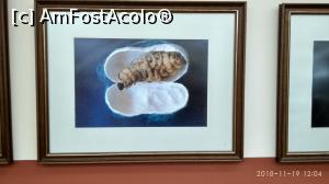 [P13] Tablou explicativ... » foto by voltainstel
 - 
<span class="allrVoted glyphicon glyphicon-heart hidden" id="av1160675"></span>
<a class="m-l-10 hidden" id="sv1160675" onclick="voting_Foto_DelVot(,1160675,10840)" role="button">șterge vot <span class="glyphicon glyphicon-remove"></span></a>
<a id="v91160675" class=" c-red"  onclick="voting_Foto_SetVot(1160675)" role="button"><span class="glyphicon glyphicon-heart-empty"></span> <b>LIKE</b> = Votează poza</a> <img class="hidden"  id="f1160675W9" src="/imagini/loader.gif" border="0" /><span class="AjErrMes hidden" id="e1160675ErM"></span>