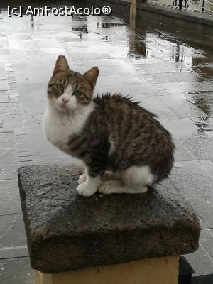 [P32] Antalya pe ploaie » foto by crismis
 - 
<span class="allrVoted glyphicon glyphicon-heart hidden" id="av1045715"></span>
<a class="m-l-10 hidden" id="sv1045715" onclick="voting_Foto_DelVot(,1045715,10840)" role="button">șterge vot <span class="glyphicon glyphicon-remove"></span></a>
<a id="v91045715" class=" c-red"  onclick="voting_Foto_SetVot(1045715)" role="button"><span class="glyphicon glyphicon-heart-empty"></span> <b>LIKE</b> = Votează poza</a> <img class="hidden"  id="f1045715W9" src="/imagini/loader.gif" border="0" /><span class="AjErrMes hidden" id="e1045715ErM"></span>