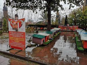 [P33] Antalya, orașul pisicilor » foto by crismis
 - 
<span class="allrVoted glyphicon glyphicon-heart hidden" id="av1045716"></span>
<a class="m-l-10 hidden" id="sv1045716" onclick="voting_Foto_DelVot(,1045716,10840)" role="button">șterge vot <span class="glyphicon glyphicon-remove"></span></a>
<a id="v91045716" class=" c-red"  onclick="voting_Foto_SetVot(1045716)" role="button"><span class="glyphicon glyphicon-heart-empty"></span> <b>LIKE</b> = Votează poza</a> <img class="hidden"  id="f1045716W9" src="/imagini/loader.gif" border="0" /><span class="AjErrMes hidden" id="e1045716ErM"></span>