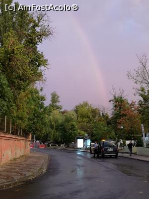 [P24] Curcubeu după ploaie » foto by crismis
 - 
<span class="allrVoted glyphicon glyphicon-heart hidden" id="av1099879"></span>
<a class="m-l-10 hidden" id="sv1099879" onclick="voting_Foto_DelVot(,1099879,10840)" role="button">șterge vot <span class="glyphicon glyphicon-remove"></span></a>
<a id="v91099879" class=" c-red"  onclick="voting_Foto_SetVot(1099879)" role="button"><span class="glyphicon glyphicon-heart-empty"></span> <b>LIKE</b> = Votează poza</a> <img class="hidden"  id="f1099879W9" src="/imagini/loader.gif" border="0" /><span class="AjErrMes hidden" id="e1099879ErM"></span>