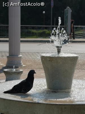 [P08] Silistra - „căldură mare, mon cher! ” » foto by crismis
 - 
<span class="allrVoted glyphicon glyphicon-heart hidden" id="av1099863"></span>
<a class="m-l-10 hidden" id="sv1099863" onclick="voting_Foto_DelVot(,1099863,10840)" role="button">șterge vot <span class="glyphicon glyphicon-remove"></span></a>
<a id="v91099863" class=" c-red"  onclick="voting_Foto_SetVot(1099863)" role="button"><span class="glyphicon glyphicon-heart-empty"></span> <b>LIKE</b> = Votează poza</a> <img class="hidden"  id="f1099863W9" src="/imagini/loader.gif" border="0" /><span class="AjErrMes hidden" id="e1099863ErM"></span>