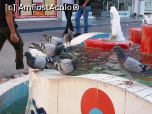 [P46] La plimbare prin Kutahya » foto by crismis
 - 
<span class="allrVoted glyphicon glyphicon-heart hidden" id="av1101647"></span>
<a class="m-l-10 hidden" id="sv1101647" onclick="voting_Foto_DelVot(,1101647,10840)" role="button">șterge vot <span class="glyphicon glyphicon-remove"></span></a>
<a id="v91101647" class=" c-red"  onclick="voting_Foto_SetVot(1101647)" role="button"><span class="glyphicon glyphicon-heart-empty"></span> <b>LIKE</b> = Votează poza</a> <img class="hidden"  id="f1101647W9" src="/imagini/loader.gif" border="0" /><span class="AjErrMes hidden" id="e1101647ErM"></span>