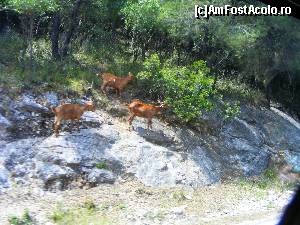 P45 [JUN-2015] Insula Skopelos