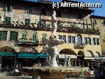 [P05] Fantana din Piazza delle Erbe » foto by popescuionut
 - 
<span class="allrVoted glyphicon glyphicon-heart hidden" id="av292359"></span>
<a class="m-l-10 hidden" id="sv292359" onclick="voting_Foto_DelVot(,292359,10972)" role="button">șterge vot <span class="glyphicon glyphicon-remove"></span></a>
<a id="v9292359" class=" c-red"  onclick="voting_Foto_SetVot(292359)" role="button"><span class="glyphicon glyphicon-heart-empty"></span> <b>LIKE</b> = Votează poza</a> <img class="hidden"  id="f292359W9" src="/imagini/loader.gif" border="0" /><span class="AjErrMes hidden" id="e292359ErM"></span>
