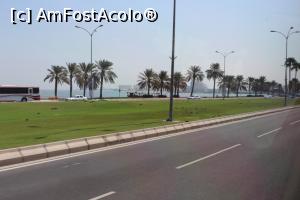 [P10] Doha, se vede Cornișa străjuită de palmieri » foto by mprofeanu
 - 
<span class="allrVoted glyphicon glyphicon-heart hidden" id="av800119"></span>
<a class="m-l-10 hidden" id="sv800119" onclick="voting_Foto_DelVot(,800119,11020)" role="button">șterge vot <span class="glyphicon glyphicon-remove"></span></a>
<a id="v9800119" class=" c-red"  onclick="voting_Foto_SetVot(800119)" role="button"><span class="glyphicon glyphicon-heart-empty"></span> <b>LIKE</b> = Votează poza</a> <img class="hidden"  id="f800119W9" src="/imagini/loader.gif" border="0" /><span class="AjErrMes hidden" id="e800119ErM"></span>