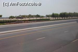 [P86] Doha, pomi în lungul șoselelor » foto by mprofeanu
 - 
<span class="allrVoted glyphicon glyphicon-heart hidden" id="av800195"></span>
<a class="m-l-10 hidden" id="sv800195" onclick="voting_Foto_DelVot(,800195,11020)" role="button">șterge vot <span class="glyphicon glyphicon-remove"></span></a>
<a id="v9800195" class=" c-red"  onclick="voting_Foto_SetVot(800195)" role="button"><span class="glyphicon glyphicon-heart-empty"></span> <b>LIKE</b> = Votează poza</a> <img class="hidden"  id="f800195W9" src="/imagini/loader.gif" border="0" /><span class="AjErrMes hidden" id="e800195ErM"></span>