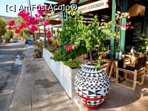 [P26] Cafeneaua din Karfas, Pes Alevri. » foto by maryka
 - 
<span class="allrVoted glyphicon glyphicon-heart hidden" id="av1192392"></span>
<a class="m-l-10 hidden" id="sv1192392" onclick="voting_Foto_DelVot(,1192392,11028)" role="button">șterge vot <span class="glyphicon glyphicon-remove"></span></a>
<a id="v91192392" class=" c-red"  onclick="voting_Foto_SetVot(1192392)" role="button"><span class="glyphicon glyphicon-heart-empty"></span> <b>LIKE</b> = Votează poza</a> <img class="hidden"  id="f1192392W9" src="/imagini/loader.gif" border="0" /><span class="AjErrMes hidden" id="e1192392ErM"></span>