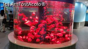 [P02]  -- <small>// FĂRĂ DESCRIERE</small> » foto by geani anto
 - 
<span class="allrVoted glyphicon glyphicon-heart hidden" id="av1509515"></span>
<a class="m-l-10 hidden" id="sv1509515" onclick="voting_Foto_DelVot(,1509515,11037)" role="button">șterge vot <span class="glyphicon glyphicon-remove"></span></a>
<a id="v91509515" class=" c-red"  onclick="voting_Foto_SetVot(1509515)" role="button"><span class="glyphicon glyphicon-heart-empty"></span> <b>LIKE</b> = Votează poza</a> <img class="hidden"  id="f1509515W9" src="/imagini/loader.gif" border="0" /><span class="AjErrMes hidden" id="e1509515ErM"></span>