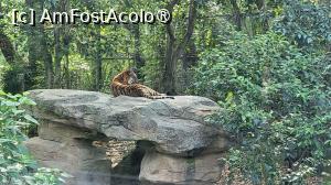 [P21]  -- <small>// FĂRĂ DESCRIERE</small> » foto by geani anto
 - 
<span class="allrVoted glyphicon glyphicon-heart hidden" id="av1509534"></span>
<a class="m-l-10 hidden" id="sv1509534" onclick="voting_Foto_DelVot(,1509534,11037)" role="button">șterge vot <span class="glyphicon glyphicon-remove"></span></a>
<a id="v91509534" class=" c-red"  onclick="voting_Foto_SetVot(1509534)" role="button"><span class="glyphicon glyphicon-heart-empty"></span> <b>LIKE</b> = Votează poza</a> <img class="hidden"  id="f1509534W9" src="/imagini/loader.gif" border="0" /><span class="AjErrMes hidden" id="e1509534ErM"></span>