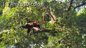 [P24]  -- <small>// FĂRĂ DESCRIERE</small> » foto by geani anto
 - 
<span class="allrVoted glyphicon glyphicon-heart hidden" id="av1509537"></span>
<a class="m-l-10 hidden" id="sv1509537" onclick="voting_Foto_DelVot(,1509537,11037)" role="button">șterge vot <span class="glyphicon glyphicon-remove"></span></a>
<a id="v91509537" class=" c-red"  onclick="voting_Foto_SetVot(1509537)" role="button"><span class="glyphicon glyphicon-heart-empty"></span> <b>LIKE</b> = Votează poza</a> <img class="hidden"  id="f1509537W9" src="/imagini/loader.gif" border="0" /><span class="AjErrMes hidden" id="e1509537ErM"></span>