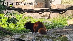 [P25]  -- <small>// FĂRĂ DESCRIERE</small> » foto by geani anto
 - 
<span class="allrVoted glyphicon glyphicon-heart hidden" id="av1509538"></span>
<a class="m-l-10 hidden" id="sv1509538" onclick="voting_Foto_DelVot(,1509538,11037)" role="button">șterge vot <span class="glyphicon glyphicon-remove"></span></a>
<a id="v91509538" class=" c-red"  onclick="voting_Foto_SetVot(1509538)" role="button"><span class="glyphicon glyphicon-heart-empty"></span> <b>LIKE</b> = Votează poza</a> <img class="hidden"  id="f1509538W9" src="/imagini/loader.gif" border="0" /><span class="AjErrMes hidden" id="e1509538ErM"></span>