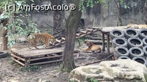 [P38]  -- <small>// FĂRĂ DESCRIERE</small> » foto by geani anto
 - 
<span class="allrVoted glyphicon glyphicon-heart hidden" id="av1509551"></span>
<a class="m-l-10 hidden" id="sv1509551" onclick="voting_Foto_DelVot(,1509551,11037)" role="button">șterge vot <span class="glyphicon glyphicon-remove"></span></a>
<a id="v91509551" class=" c-red"  onclick="voting_Foto_SetVot(1509551)" role="button"><span class="glyphicon glyphicon-heart-empty"></span> <b>LIKE</b> = Votează poza</a> <img class="hidden"  id="f1509551W9" src="/imagini/loader.gif" border="0" /><span class="AjErrMes hidden" id="e1509551ErM"></span>