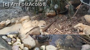 [P09]  -- <small>// FĂRĂ DESCRIERE</small> » foto by geani anto
 - 
<span class="allrVoted glyphicon glyphicon-heart hidden" id="av1509522"></span>
<a class="m-l-10 hidden" id="sv1509522" onclick="voting_Foto_DelVot(,1509522,11037)" role="button">șterge vot <span class="glyphicon glyphicon-remove"></span></a>
<a id="v91509522" class=" c-red"  onclick="voting_Foto_SetVot(1509522)" role="button"><span class="glyphicon glyphicon-heart-empty"></span> <b>LIKE</b> = Votează poza</a> <img class="hidden"  id="f1509522W9" src="/imagini/loader.gif" border="0" /><span class="AjErrMes hidden" id="e1509522ErM"></span>