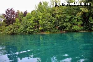 [P41] Lacul Bled - ne intoarcem de la insula » foto by cristi_an3000
 - 
<span class="allrVoted glyphicon glyphicon-heart hidden" id="av475352"></span>
<a class="m-l-10 hidden" id="sv475352" onclick="voting_Foto_DelVot(,475352,11040)" role="button">șterge vot <span class="glyphicon glyphicon-remove"></span></a>
<a id="v9475352" class=" c-red"  onclick="voting_Foto_SetVot(475352)" role="button"><span class="glyphicon glyphicon-heart-empty"></span> <b>LIKE</b> = Votează poza</a> <img class="hidden"  id="f475352W9" src="/imagini/loader.gif" border="0" /><span class="AjErrMes hidden" id="e475352ErM"></span>