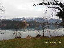 [P77]  -- <small>// FĂRĂ DESCRIERE</small> » foto by Alina53
 - 
<span class="allrVoted glyphicon glyphicon-heart hidden" id="av297677"></span>
<a class="m-l-10 hidden" id="sv297677" onclick="voting_Foto_DelVot(,297677,11040)" role="button">șterge vot <span class="glyphicon glyphicon-remove"></span></a>
<a id="v9297677" class=" c-red"  onclick="voting_Foto_SetVot(297677)" role="button"><span class="glyphicon glyphicon-heart-empty"></span> <b>LIKE</b> = Votează poza</a> <img class="hidden"  id="f297677W9" src="/imagini/loader.gif" border="0" /><span class="AjErrMes hidden" id="e297677ErM"></span>