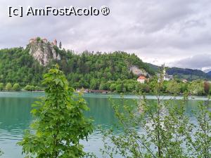 [P32] lacul Bled - Slovenia » foto by zlatna
 - 
<span class="allrVoted glyphicon glyphicon-heart hidden" id="av1508648"></span>
<a class="m-l-10 hidden" id="sv1508648" onclick="voting_Foto_DelVot(,1508648,11040)" role="button">șterge vot <span class="glyphicon glyphicon-remove"></span></a>
<a id="v91508648" class=" c-red"  onclick="voting_Foto_SetVot(1508648)" role="button"><span class="glyphicon glyphicon-heart-empty"></span> <b>LIKE</b> = Votează poza</a> <img class="hidden"  id="f1508648W9" src="/imagini/loader.gif" border="0" /><span class="AjErrMes hidden" id="e1508648ErM"></span>