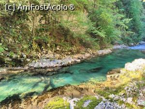 [P22] La pas prin Canionul Vintgar » foto by crismis
 - 
<span class="allrVoted glyphicon glyphicon-heart hidden" id="av1510701"></span>
<a class="m-l-10 hidden" id="sv1510701" onclick="voting_Foto_DelVot(,1510701,11040)" role="button">șterge vot <span class="glyphicon glyphicon-remove"></span></a>
<a id="v91510701" class=" c-red"  onclick="voting_Foto_SetVot(1510701)" role="button"><span class="glyphicon glyphicon-heart-empty"></span> <b>LIKE</b> = Votează poza</a> <img class="hidden"  id="f1510701W9" src="/imagini/loader.gif" border="0" /><span class="AjErrMes hidden" id="e1510701ErM"></span>