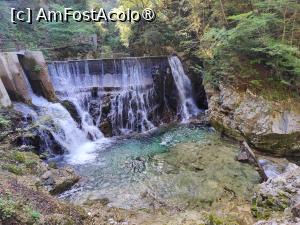 [P24] La pas prin Canionul Vintgar; cascada mică » foto by crismis
 - 
<span class="allrVoted glyphicon glyphicon-heart hidden" id="av1510703"></span>
<a class="m-l-10 hidden" id="sv1510703" onclick="voting_Foto_DelVot(,1510703,11040)" role="button">șterge vot <span class="glyphicon glyphicon-remove"></span></a>
<a id="v91510703" class=" c-red"  onclick="voting_Foto_SetVot(1510703)" role="button"><span class="glyphicon glyphicon-heart-empty"></span> <b>LIKE</b> = Votează poza</a> <img class="hidden"  id="f1510703W9" src="/imagini/loader.gif" border="0" /><span class="AjErrMes hidden" id="e1510703ErM"></span>