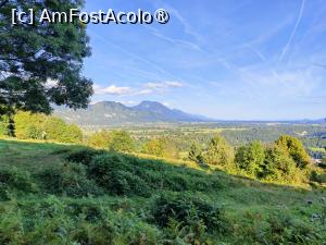 [P38] Pe traseul de întoarcere » foto by crismis
 - 
<span class="allrVoted glyphicon glyphicon-heart hidden" id="av1510716"></span>
<a class="m-l-10 hidden" id="sv1510716" onclick="voting_Foto_DelVot(,1510716,11040)" role="button">șterge vot <span class="glyphicon glyphicon-remove"></span></a>
<a id="v91510716" class=" c-red"  onclick="voting_Foto_SetVot(1510716)" role="button"><span class="glyphicon glyphicon-heart-empty"></span> <b>LIKE</b> = Votează poza</a> <img class="hidden"  id="f1510716W9" src="/imagini/loader.gif" border="0" /><span class="AjErrMes hidden" id="e1510716ErM"></span>