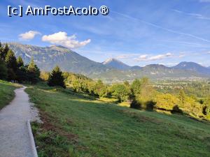 [P42] Pe traseul de întoarcere » foto by crismis
 - 
<span class="allrVoted glyphicon glyphicon-heart hidden" id="av1510720"></span>
<a class="m-l-10 hidden" id="sv1510720" onclick="voting_Foto_DelVot(,1510720,11040)" role="button">șterge vot <span class="glyphicon glyphicon-remove"></span></a>
<a id="v91510720" class=" c-red"  onclick="voting_Foto_SetVot(1510720)" role="button"><span class="glyphicon glyphicon-heart-empty"></span> <b>LIKE</b> = Votează poza</a> <img class="hidden"  id="f1510720W9" src="/imagini/loader.gif" border="0" /><span class="AjErrMes hidden" id="e1510720ErM"></span>