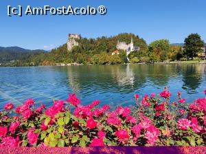 [P12] La plimbare în jurul lacului Bled » foto by crismis
 - 
<span class="allrVoted glyphicon glyphicon-heart hidden" id="av1513807"></span>
<a class="m-l-10 hidden" id="sv1513807" onclick="voting_Foto_DelVot(,1513807,11040)" role="button">șterge vot <span class="glyphicon glyphicon-remove"></span></a>
<a id="v91513807" class=" c-red"  onclick="voting_Foto_SetVot(1513807)" role="button"><span class="glyphicon glyphicon-heart-empty"></span> <b>LIKE</b> = Votează poza</a> <img class="hidden"  id="f1513807W9" src="/imagini/loader.gif" border="0" /><span class="AjErrMes hidden" id="e1513807ErM"></span>