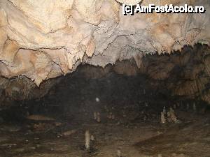 [P34]  -- <small>// FĂRĂ DESCRIERE</small> » foto by Utube
 - 
<span class="allrVoted glyphicon glyphicon-heart hidden" id="av408323"></span>
<a class="m-l-10 hidden" id="sv408323" onclick="voting_Foto_DelVot(,408323,11045)" role="button">șterge vot <span class="glyphicon glyphicon-remove"></span></a>
<a id="v9408323" class=" c-red"  onclick="voting_Foto_SetVot(408323)" role="button"><span class="glyphicon glyphicon-heart-empty"></span> <b>LIKE</b> = Votează poza</a> <img class="hidden"  id="f408323W9" src="/imagini/loader.gif" border="0" /><span class="AjErrMes hidden" id="e408323ErM"></span>