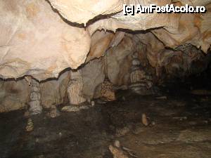 [P35]  -- <small>// FĂRĂ DESCRIERE</small> » foto by Utube
 - 
<span class="allrVoted glyphicon glyphicon-heart hidden" id="av408324"></span>
<a class="m-l-10 hidden" id="sv408324" onclick="voting_Foto_DelVot(,408324,11045)" role="button">șterge vot <span class="glyphicon glyphicon-remove"></span></a>
<a id="v9408324" class=" c-red"  onclick="voting_Foto_SetVot(408324)" role="button"><span class="glyphicon glyphicon-heart-empty"></span> <b>LIKE</b> = Votează poza</a> <img class="hidden"  id="f408324W9" src="/imagini/loader.gif" border="0" /><span class="AjErrMes hidden" id="e408324ErM"></span>