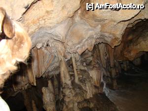 [P36]  -- <small>// FĂRĂ DESCRIERE</small> » foto by Utube
 - 
<span class="allrVoted glyphicon glyphicon-heart hidden" id="av408325"></span>
<a class="m-l-10 hidden" id="sv408325" onclick="voting_Foto_DelVot(,408325,11045)" role="button">șterge vot <span class="glyphicon glyphicon-remove"></span></a>
<a id="v9408325" class=" c-red"  onclick="voting_Foto_SetVot(408325)" role="button"><span class="glyphicon glyphicon-heart-empty"></span> <b>LIKE</b> = Votează poza</a> <img class="hidden"  id="f408325W9" src="/imagini/loader.gif" border="0" /><span class="AjErrMes hidden" id="e408325ErM"></span>