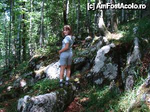 [P53]  -- <small>// FĂRĂ DESCRIERE</small> » foto by Utube
 - 
<span class="allrVoted glyphicon glyphicon-heart hidden" id="av408342"></span>
<a class="m-l-10 hidden" id="sv408342" onclick="voting_Foto_DelVot(,408342,11045)" role="button">șterge vot <span class="glyphicon glyphicon-remove"></span></a>
<a id="v9408342" class=" c-red"  onclick="voting_Foto_SetVot(408342)" role="button"><span class="glyphicon glyphicon-heart-empty"></span> <b>LIKE</b> = Votează poza</a> <img class="hidden"  id="f408342W9" src="/imagini/loader.gif" border="0" /><span class="AjErrMes hidden" id="e408342ErM"></span>