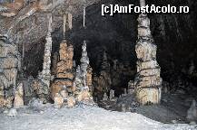 [P07]  -- <small>// FĂRĂ DESCRIERE</small> » foto by ctc
 - 
<span class="allrVoted glyphicon glyphicon-heart hidden" id="av295318"></span>
<a class="m-l-10 hidden" id="sv295318" onclick="voting_Foto_DelVot(,295318,11045)" role="button">șterge vot <span class="glyphicon glyphicon-remove"></span></a>
<a id="v9295318" class=" c-red"  onclick="voting_Foto_SetVot(295318)" role="button"><span class="glyphicon glyphicon-heart-empty"></span> <b>LIKE</b> = Votează poza</a> <img class="hidden"  id="f295318W9" src="/imagini/loader.gif" border="0" /><span class="AjErrMes hidden" id="e295318ErM"></span>