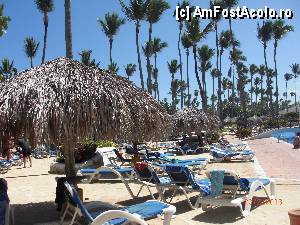 [P02]  -- <small>// FĂRĂ DESCRIERE</small> » foto by marmunteanu*
 - 
<span class="allrVoted glyphicon glyphicon-heart hidden" id="av434621"></span>
<a class="m-l-10 hidden" id="sv434621" onclick="voting_Foto_DelVot(,434621,11074)" role="button">șterge vot <span class="glyphicon glyphicon-remove"></span></a>
<a id="v9434621" class=" c-red"  onclick="voting_Foto_SetVot(434621)" role="button"><span class="glyphicon glyphicon-heart-empty"></span> <b>LIKE</b> = Votează poza</a> <img class="hidden"  id="f434621W9" src="/imagini/loader.gif" border="0" /><span class="AjErrMes hidden" id="e434621ErM"></span>