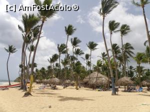 [P01]  -- <small>// FĂRĂ DESCRIERE</small> » foto by mofturoasa
 - 
<span class="allrVoted glyphicon glyphicon-heart hidden" id="av785800"></span>
<a class="m-l-10 hidden" id="sv785800" onclick="voting_Foto_DelVot(,785800,11074)" role="button">șterge vot <span class="glyphicon glyphicon-remove"></span></a>
<a id="v9785800" class=" c-red"  onclick="voting_Foto_SetVot(785800)" role="button"><span class="glyphicon glyphicon-heart-empty"></span> <b>LIKE</b> = Votează poza</a> <img class="hidden"  id="f785800W9" src="/imagini/loader.gif" border="0" /><span class="AjErrMes hidden" id="e785800ErM"></span>