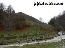 [P11] Pe valea Rausorului » foto by Romeo2011
 - 
<span class="allrVoted glyphicon glyphicon-heart hidden" id="av318881"></span>
<a class="m-l-10 hidden" id="sv318881" onclick="voting_Foto_DelVot(,318881,11230)" role="button">șterge vot <span class="glyphicon glyphicon-remove"></span></a>
<a id="v9318881" class=" c-red"  onclick="voting_Foto_SetVot(318881)" role="button"><span class="glyphicon glyphicon-heart-empty"></span> <b>LIKE</b> = Votează poza</a> <img class="hidden"  id="f318881W9" src="/imagini/loader.gif" border="0" /><span class="AjErrMes hidden" id="e318881ErM"></span>