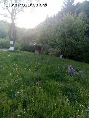 [P04] Un colțisor din poiana în care se află mănăstirea » foto by adriananicoleta
 - 
<span class="allrVoted glyphicon glyphicon-heart hidden" id="av964214"></span>
<a class="m-l-10 hidden" id="sv964214" onclick="voting_Foto_DelVot(,964214,11234)" role="button">șterge vot <span class="glyphicon glyphicon-remove"></span></a>
<a id="v9964214" class=" c-red"  onclick="voting_Foto_SetVot(964214)" role="button"><span class="glyphicon glyphicon-heart-empty"></span> <b>LIKE</b> = Votează poza</a> <img class="hidden"  id="f964214W9" src="/imagini/loader.gif" border="0" /><span class="AjErrMes hidden" id="e964214ErM"></span>