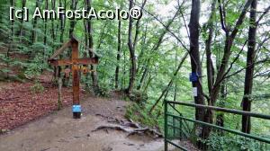 [P08] Zona cărării din vârful de deal situat între mormântul Părintelui Arsenie Boca și peștera Sfântului Ioan de la Prislop (cam 200 m între ele)  » foto by Lucien
 - 
<span class="allrVoted glyphicon glyphicon-heart hidden" id="av834882"></span>
<a class="m-l-10 hidden" id="sv834882" onclick="voting_Foto_DelVot(,834882,11234)" role="button">șterge vot <span class="glyphicon glyphicon-remove"></span></a>
<a id="v9834882" class=" c-red"  onclick="voting_Foto_SetVot(834882)" role="button"><span class="glyphicon glyphicon-heart-empty"></span> <b>LIKE</b> = Votează poza</a> <img class="hidden"  id="f834882W9" src="/imagini/loader.gif" border="0" /><span class="AjErrMes hidden" id="e834882ErM"></span>