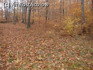 [P42] Parcă nu ne mai venea să plecăm de acolo, atât de frumos era totul!  » foto by Floryn81
 - 
<span class="allrVoted glyphicon glyphicon-heart hidden" id="av809089"></span>
<a class="m-l-10 hidden" id="sv809089" onclick="voting_Foto_DelVot(,809089,11329)" role="button">șterge vot <span class="glyphicon glyphicon-remove"></span></a>
<a id="v9809089" class=" c-red"  onclick="voting_Foto_SetVot(809089)" role="button"><span class="glyphicon glyphicon-heart-empty"></span> <b>LIKE</b> = Votează poza</a> <img class="hidden"  id="f809089W9" src="/imagini/loader.gif" border="0" /><span class="AjErrMes hidden" id="e809089ErM"></span>