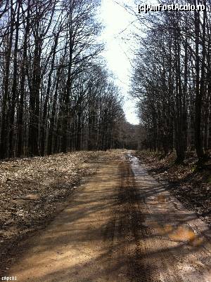 [P01] Drumul forestier de pe Măgura Odobeștiului. Partea civilizată » foto by Yersinia Pestis
 - 
<span class="allrVoted glyphicon glyphicon-heart hidden" id="av607556"></span>
<a class="m-l-10 hidden" id="sv607556" onclick="voting_Foto_DelVot(,607556,11329)" role="button">șterge vot <span class="glyphicon glyphicon-remove"></span></a>
<a id="v9607556" class=" c-red"  onclick="voting_Foto_SetVot(607556)" role="button"><span class="glyphicon glyphicon-heart-empty"></span> <b>LIKE</b> = Votează poza</a> <img class="hidden"  id="f607556W9" src="/imagini/loader.gif" border="0" /><span class="AjErrMes hidden" id="e607556ErM"></span>