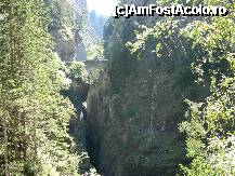 [P03] Vedere spre unul din podurile ce leaga doi versanti muntosi, la Via Mala » foto by ileanaxperta*
 - 
<span class="allrVoted glyphicon glyphicon-heart hidden" id="av307526"></span>
<a class="m-l-10 hidden" id="sv307526" onclick="voting_Foto_DelVot(,307526,11342)" role="button">șterge vot <span class="glyphicon glyphicon-remove"></span></a>
<a id="v9307526" class=" c-red"  onclick="voting_Foto_SetVot(307526)" role="button"><span class="glyphicon glyphicon-heart-empty"></span> <b>LIKE</b> = Votează poza</a> <img class="hidden"  id="f307526W9" src="/imagini/loader.gif" border="0" /><span class="AjErrMes hidden" id="e307526ErM"></span>