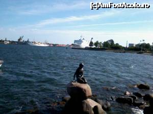 [P13] Little Mermaid si vasul reginei, stinga pe fundal » foto by Swan1
 - 
<span class="allrVoted glyphicon glyphicon-heart hidden" id="av701825"></span>
<a class="m-l-10 hidden" id="sv701825" onclick="voting_Foto_DelVot(,701825,11363)" role="button">șterge vot <span class="glyphicon glyphicon-remove"></span></a>
<a id="v9701825" class=" c-red"  onclick="voting_Foto_SetVot(701825)" role="button"><span class="glyphicon glyphicon-heart-empty"></span> <b>LIKE</b> = Votează poza</a> <img class="hidden"  id="f701825W9" src="/imagini/loader.gif" border="0" /><span class="AjErrMes hidden" id="e701825ErM"></span>