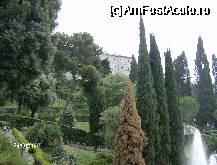 [P07] Villa D'Este, vedere din gradina » foto by pavellaurentiu
 - 
<span class="allrVoted glyphicon glyphicon-heart hidden" id="av71342"></span>
<a class="m-l-10 hidden" id="sv71342" onclick="voting_Foto_DelVot(,71342,11366)" role="button">șterge vot <span class="glyphicon glyphicon-remove"></span></a>
<a id="v971342" class=" c-red"  onclick="voting_Foto_SetVot(71342)" role="button"><span class="glyphicon glyphicon-heart-empty"></span> <b>LIKE</b> = Votează poza</a> <img class="hidden"  id="f71342W9" src="/imagini/loader.gif" border="0" /><span class="AjErrMes hidden" id="e71342ErM"></span>